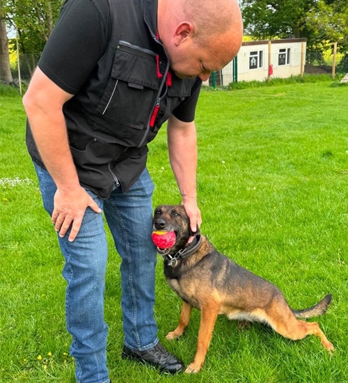 dog_kennels-warwick