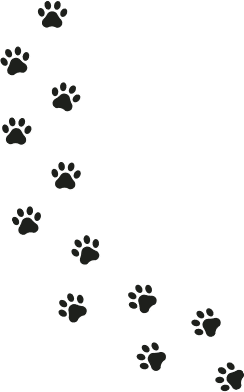dog-kennels_southam