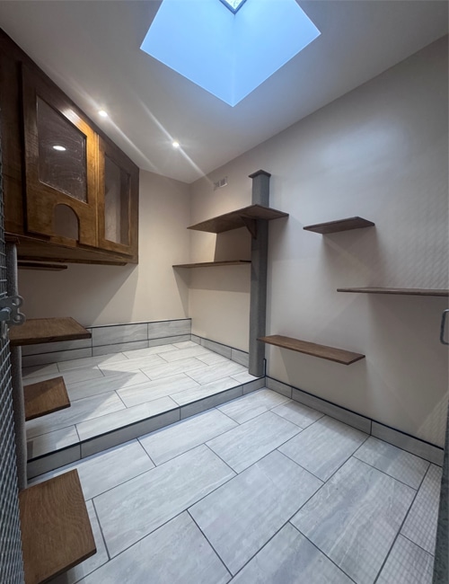 cattery-in-coventry