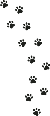 dog-kennels-warwick