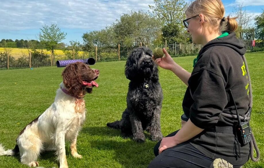 dog-kennels_warwick